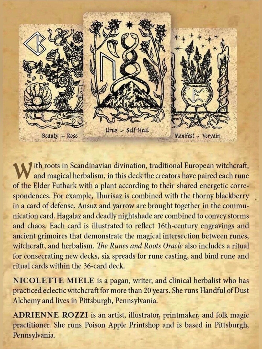 The Runes & Roots Oracle Deck NIB - Picture 2 of 2